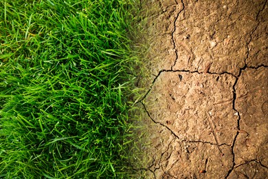 Dry cracked land and green grass, closeup