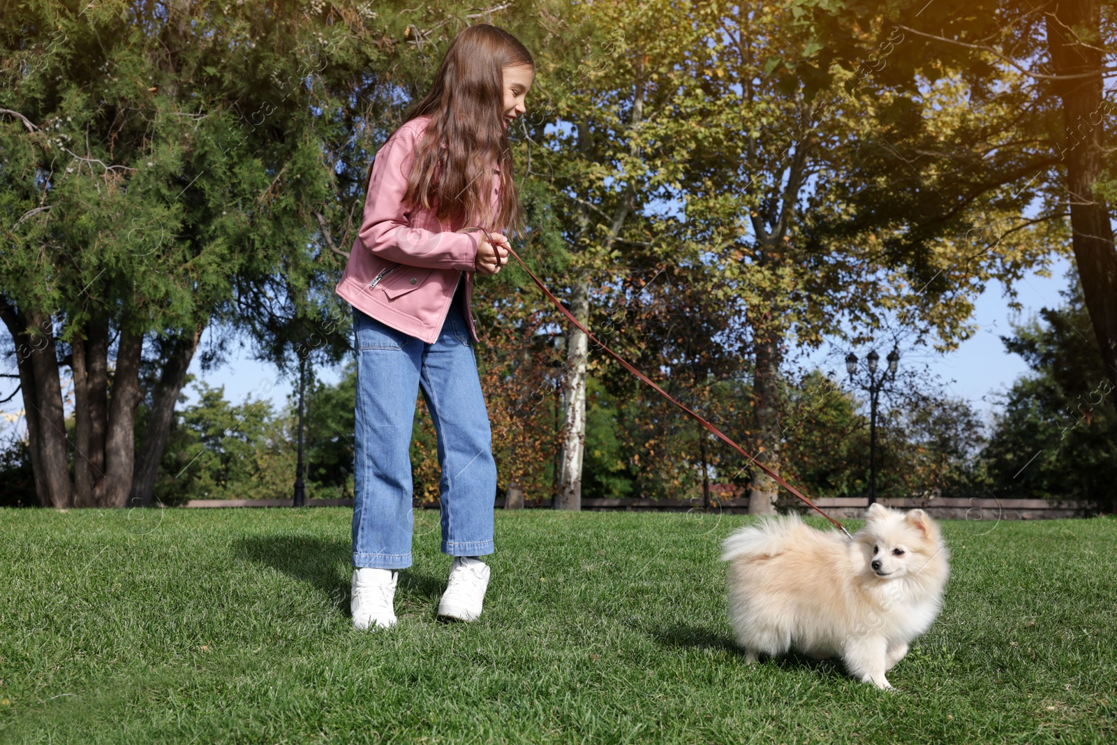 Photo of Little girl with her cute dog walking in park