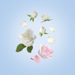 Image of Beautiful tender roses flying on light blue background