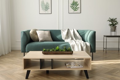 Soft green sofa and wooden table in living room. Interior design