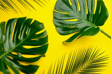 Beautiful monstera and palm leaves on yellow background, flat lay. Tropical plants