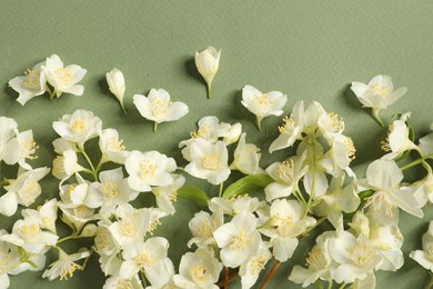 Photo of Beautiful jasmine flowers on pale green background, flat lay