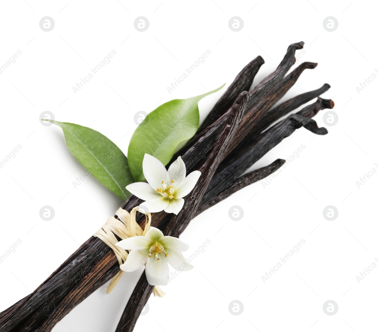 Photo of Vanilla pods, green leaves and flowers isolated on white, above view