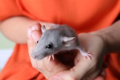 Photo of Woman holding cute small rat, closeup view