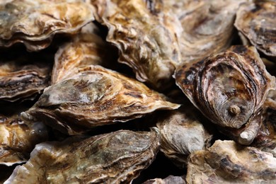 Fresh closed oysters as background, closeup view