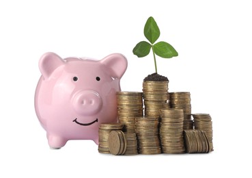 Photo of Stacks of coins with green sprout and piggy bank isolated on white. Investment concept