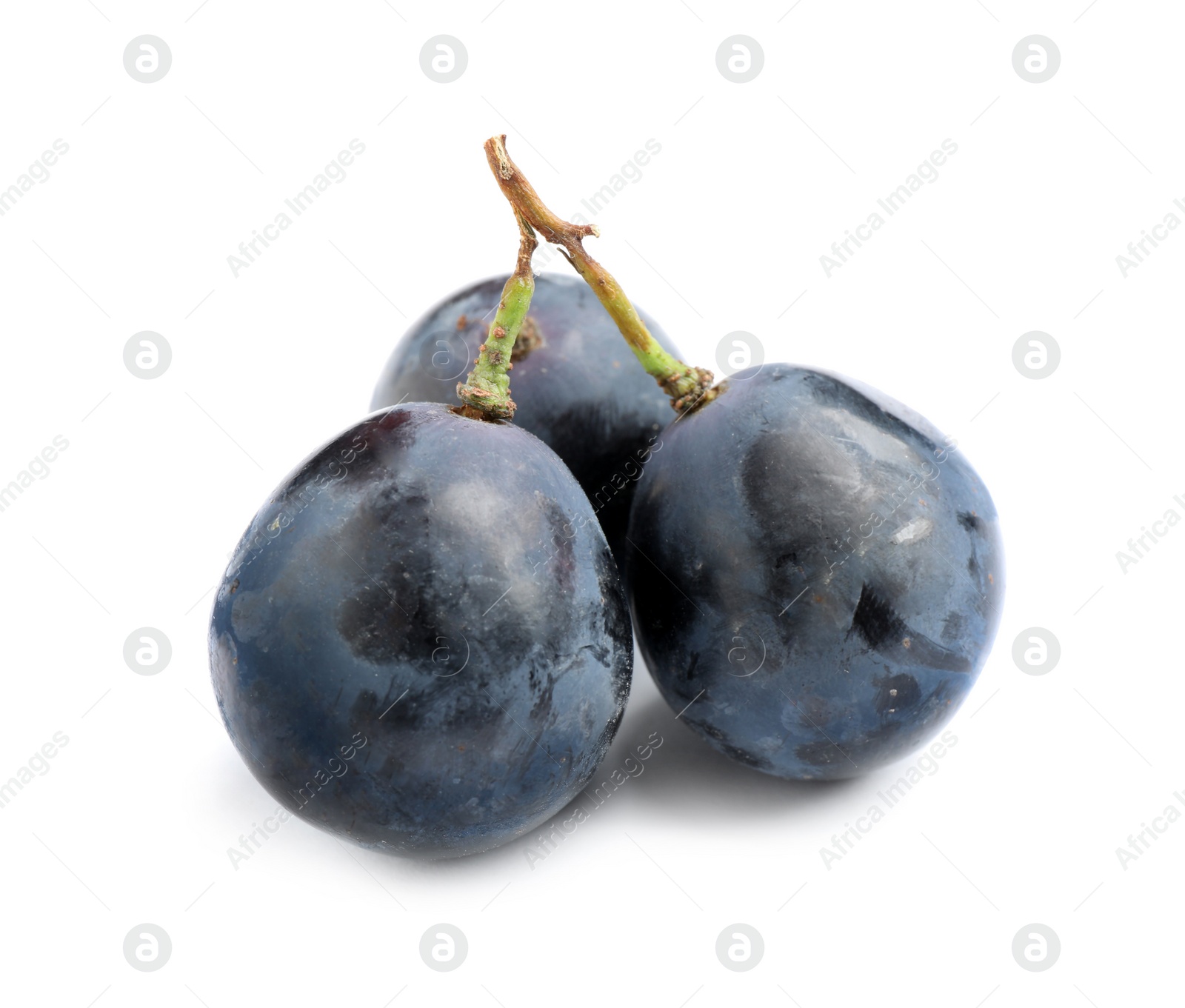 Photo of Fresh ripe juicy black grapes isolated on white