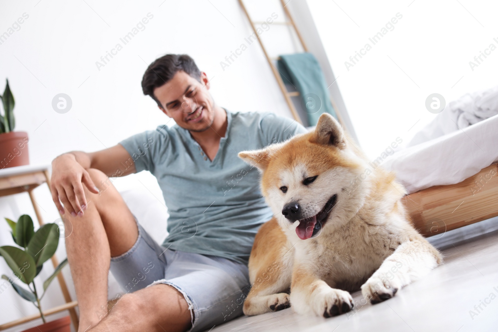 Photo of Man and Akita Inu dog in bedroom decorated with houseplants