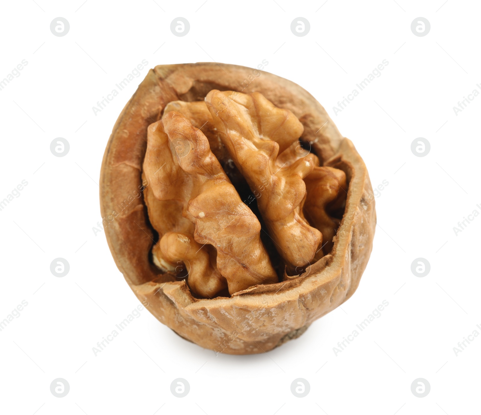 Photo of Tasty walnut in shell isolated on white