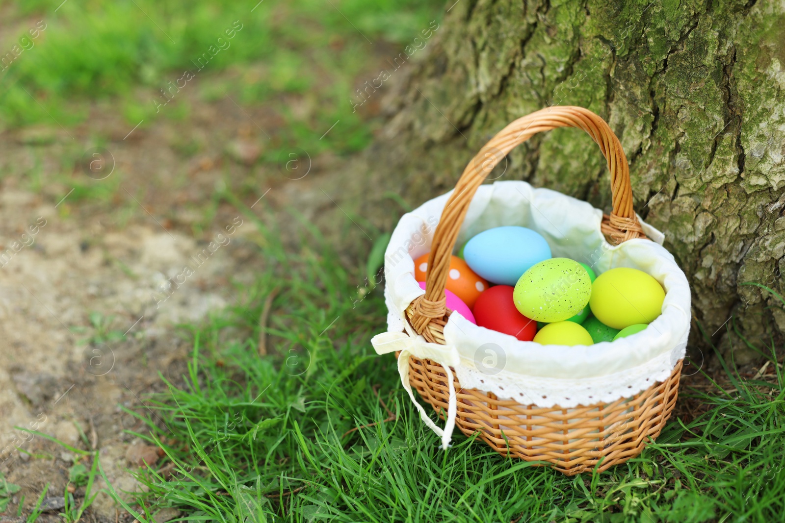 Photo of Easter celebration. Painted eggs in wicker basket on green grass, space for text