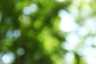 Photo of Blurred view of abstract green background. Bokeh effect