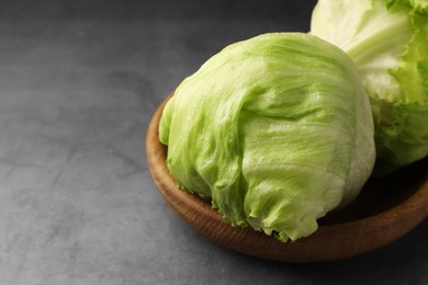 Photo of Bowl with fresh green iceberg lettuce heads on grey table, closeup. Space for text