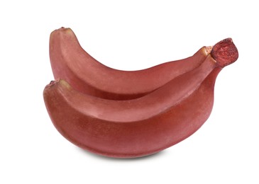 Tasty red baby bananas on white background