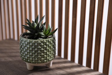 Beautiful houseplant in pot on wooden table