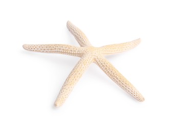 Photo of Beautiful sea star (starfish) isolated on white