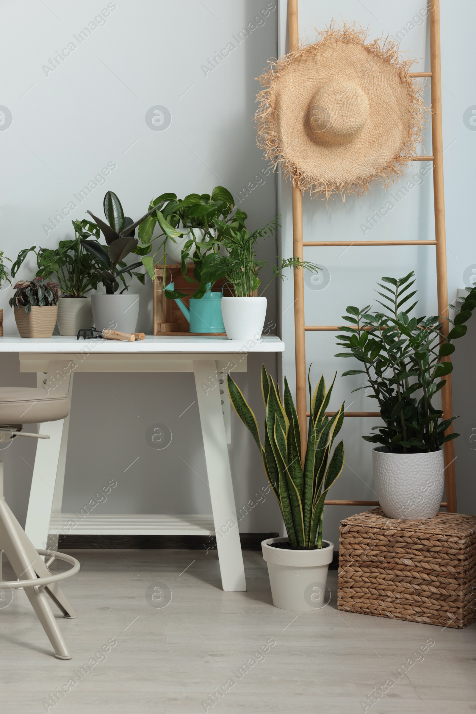 Photo of Cozy room interior with stylish furniture and different beautiful houseplants