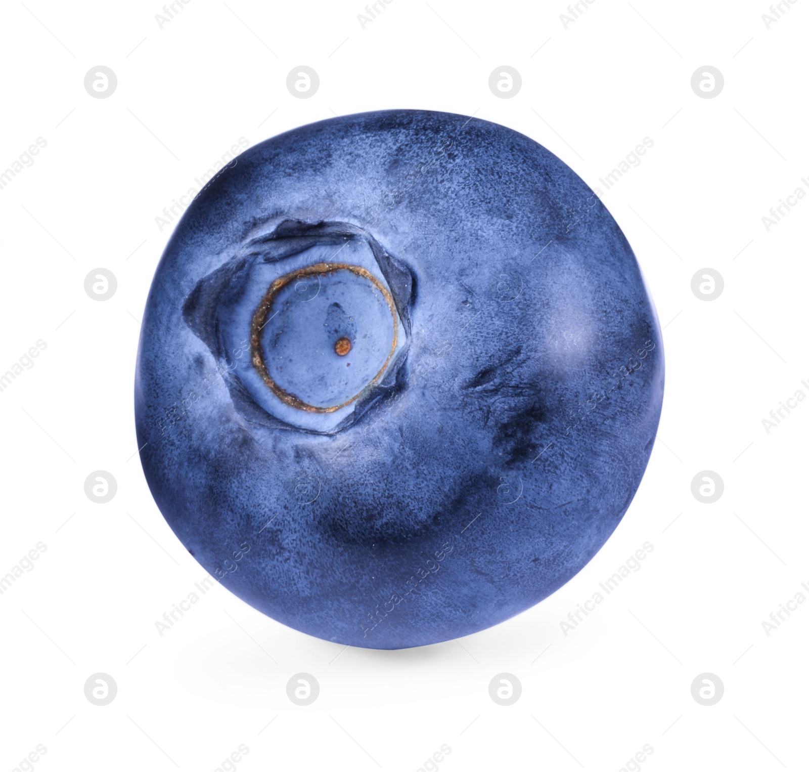 Photo of One ripe tasty blueberry isolated on white