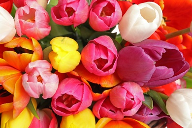 Beautiful bright spring tulip flowers as background