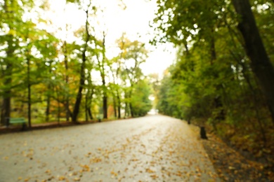 Blurred view of beautiful park with trees on autumn day
