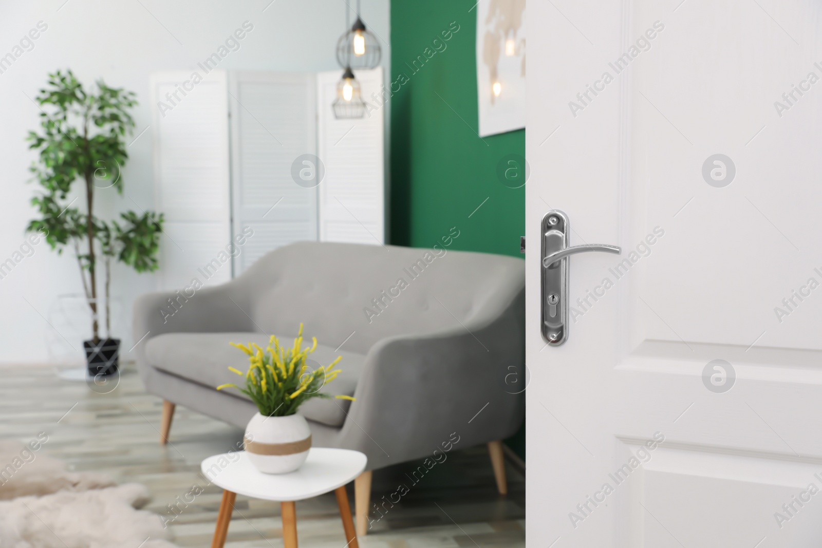 Photo of Living room interior with stylish furniture and open door