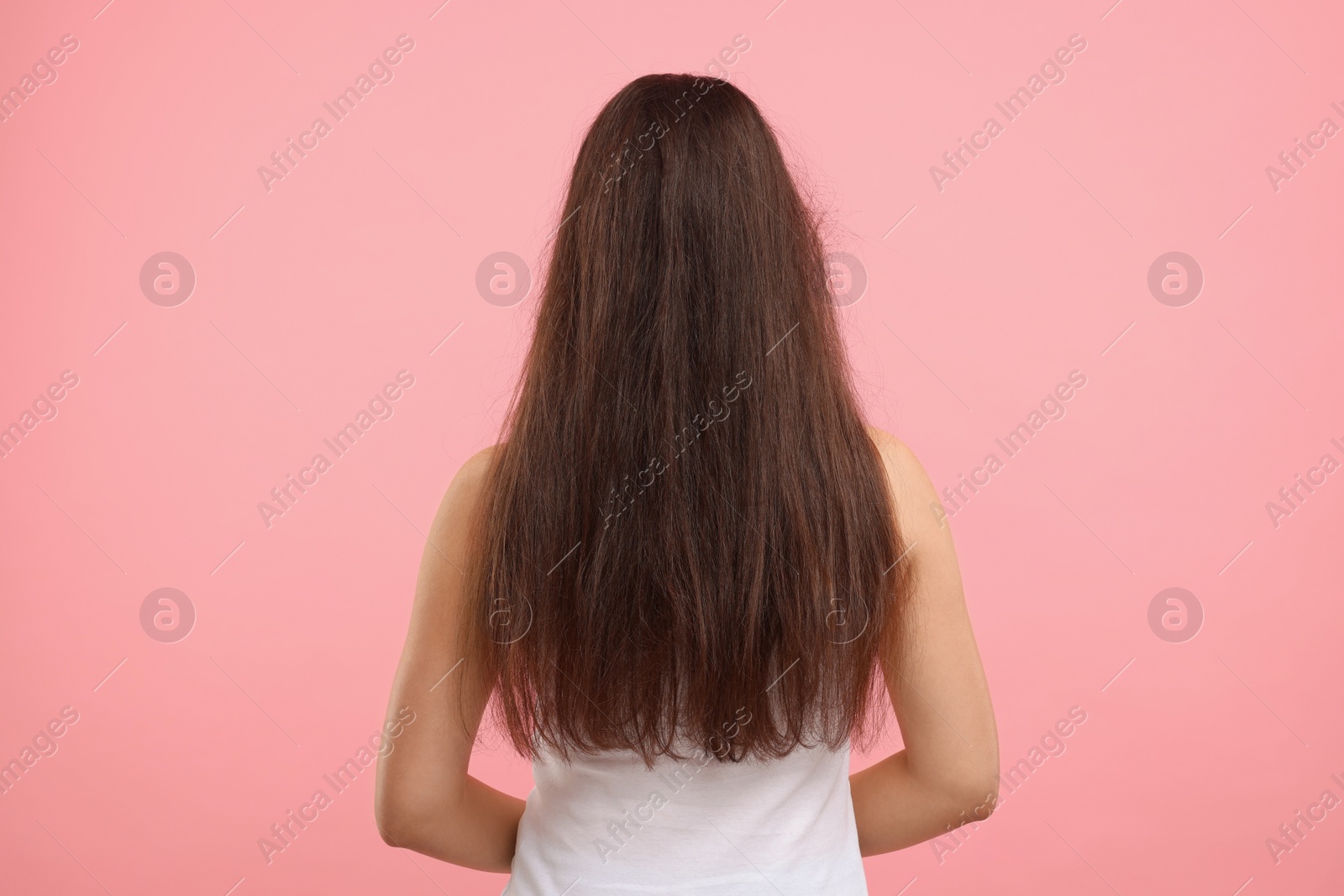 Photo of Woman with damaged hair before treatment on pink background, back view