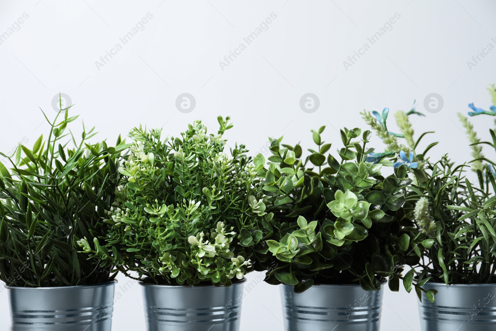 Photo of Different artificial potted herbs on white background