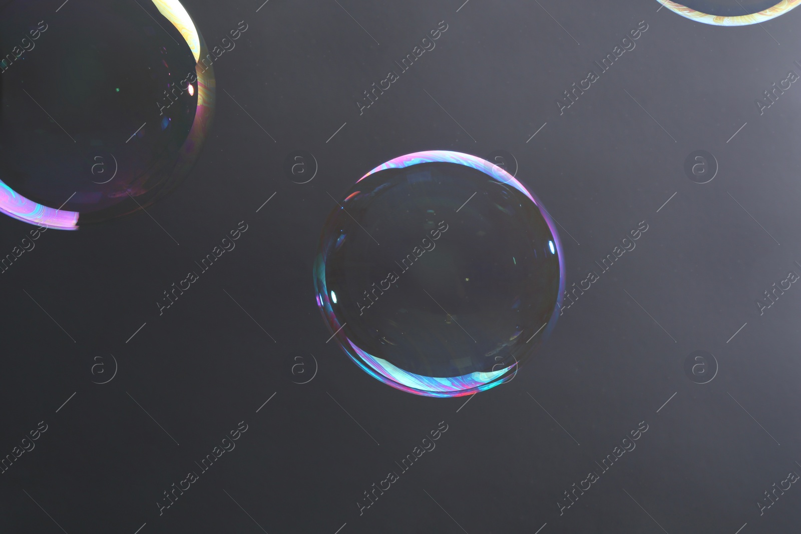 Photo of Beautiful transparent soap bubbles on gray background