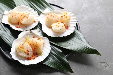 Photo of Raw scallops with spices, lemon zest and shells on grey textured table, closeup