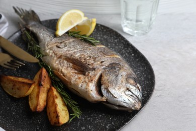 Delicious baked fish served on grey table, closeup. Seafood