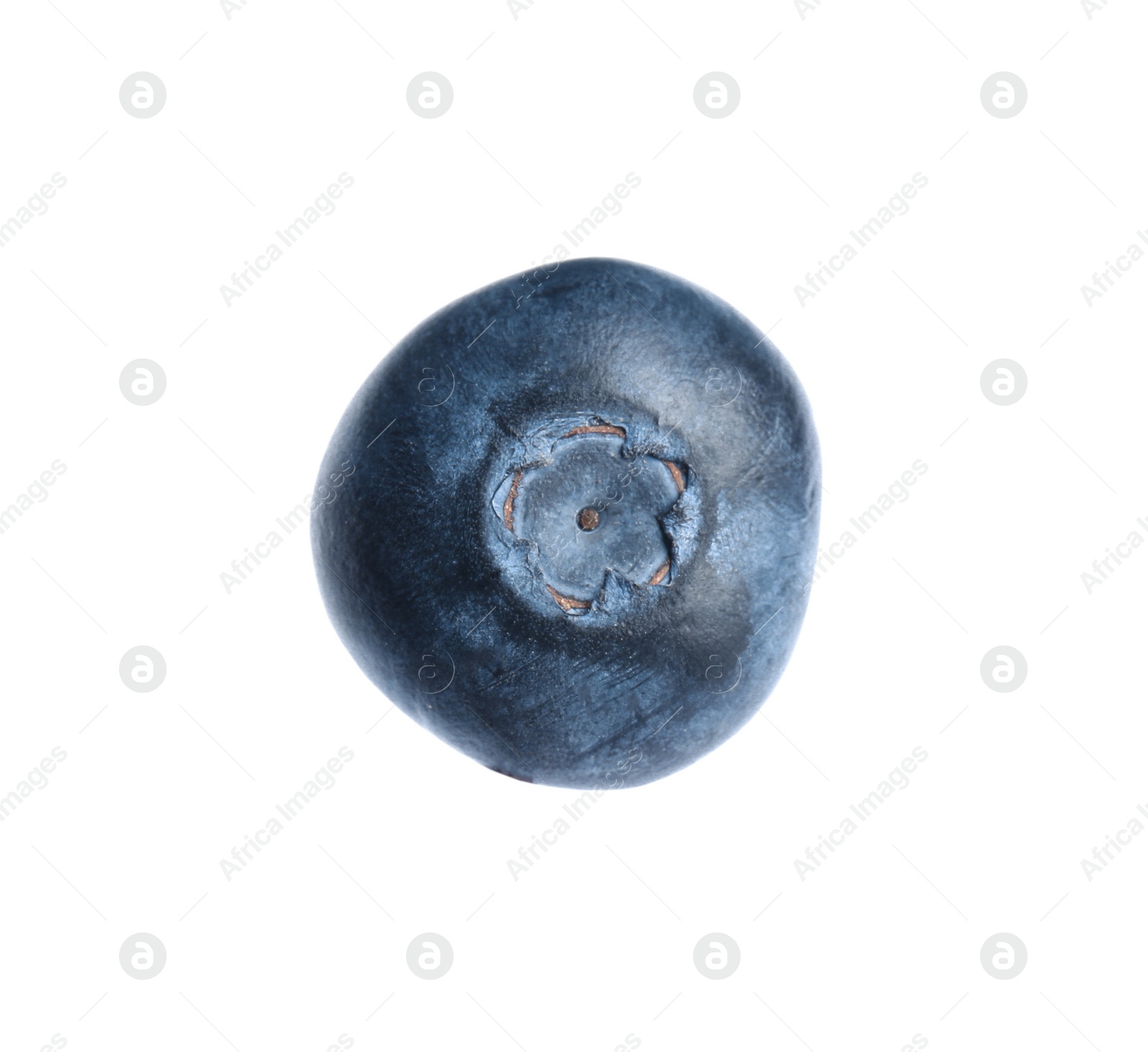 Photo of Whole fresh tasty blueberry isolated on white