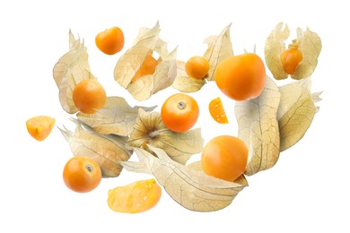 Image of Ripe orange physalis fruits with calyx falling on white background