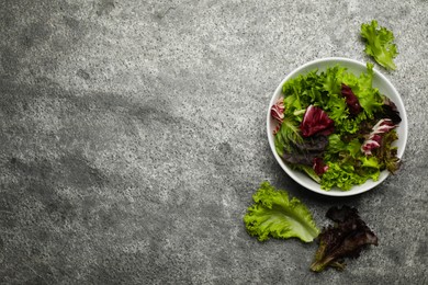 Different sorts of lettuce on grey table, flat lay. Space for text