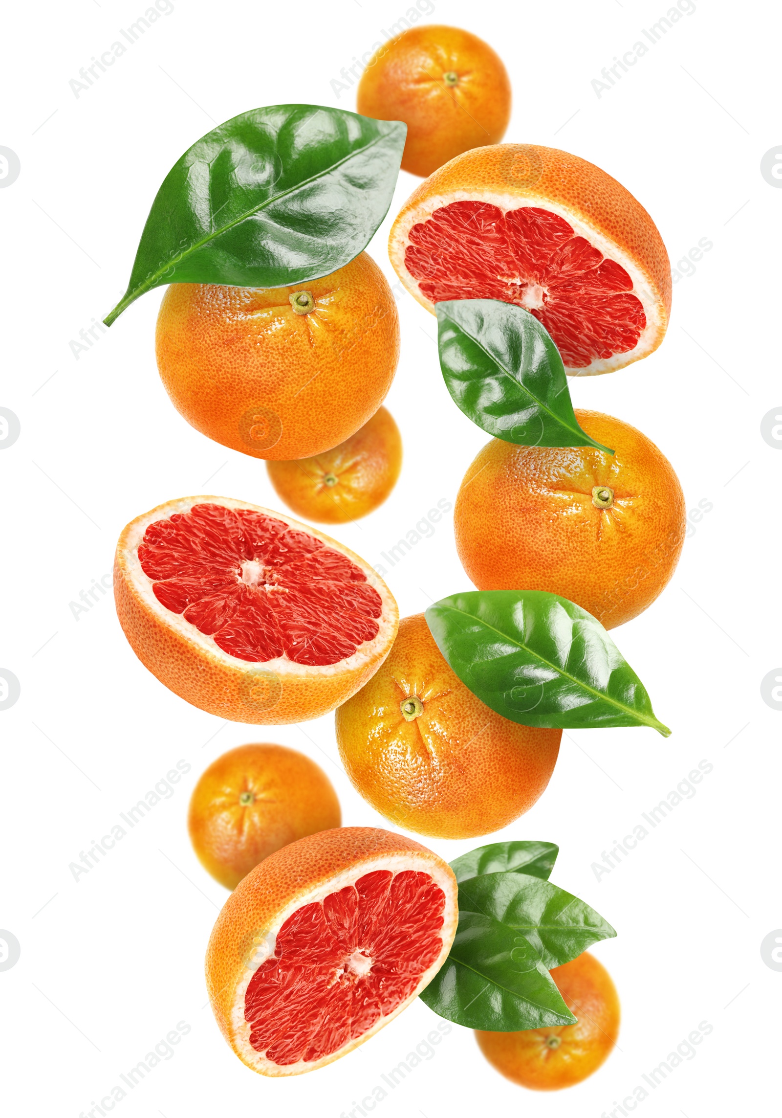 Image of Tasty ripe grapefruits and green leaves falling on white background