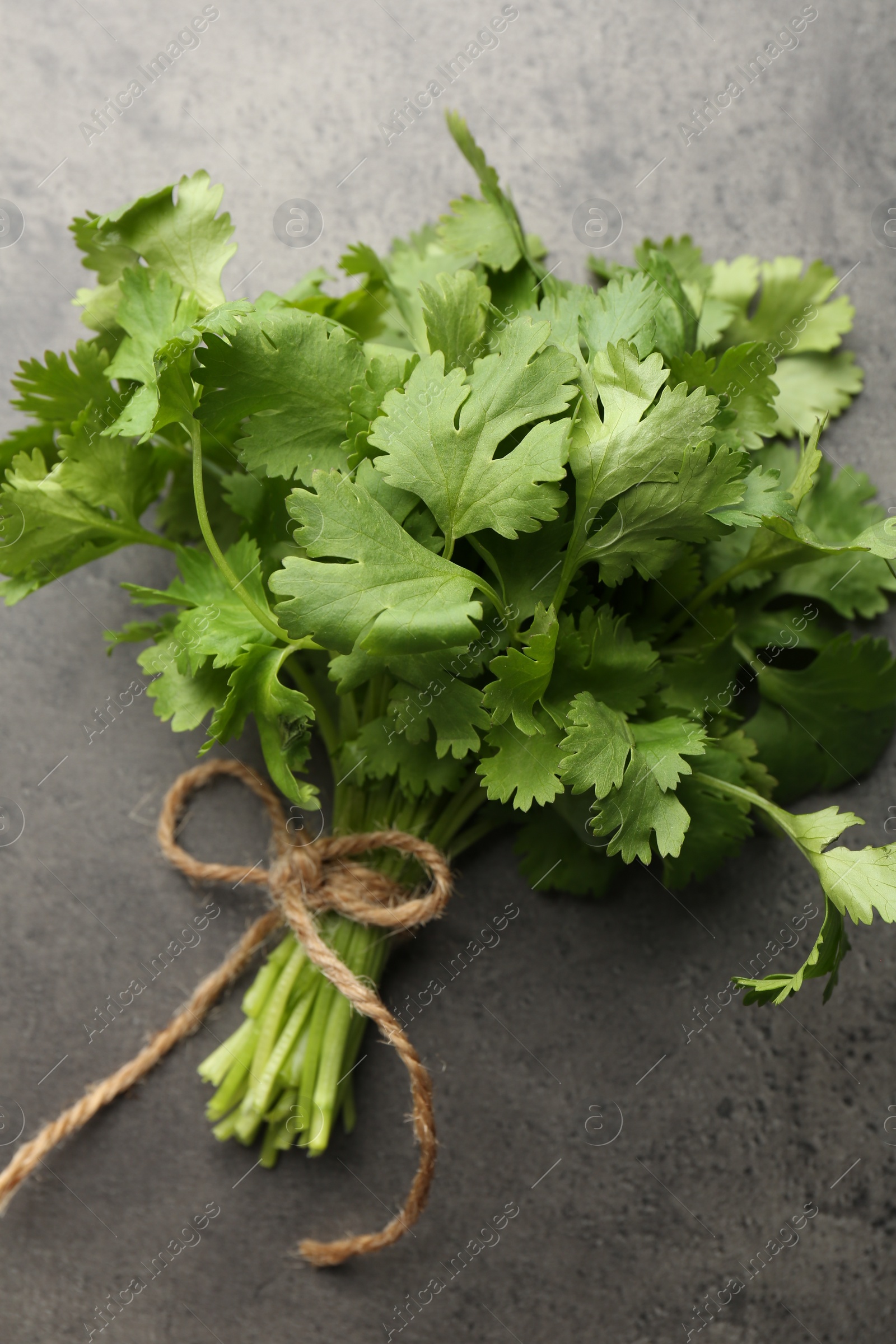 Photo of Bunch of fresh coriander on gray textured table, top view