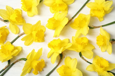 Photo of Flat lay composition with daffodils on white wooden background. Fresh spring flowers