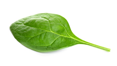 Fresh green healthy baby spinach leaf isolated on white