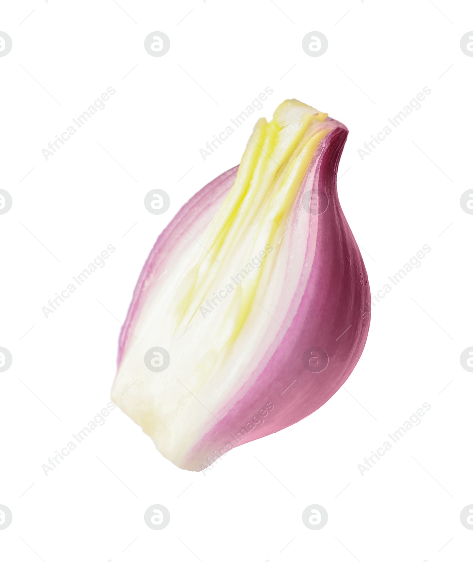 Photo of One piece of fresh onion isolated on white