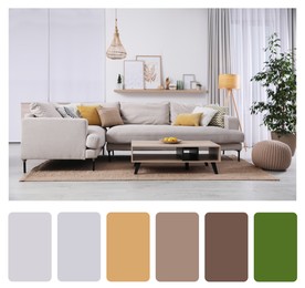 Image of Color palette and photo of stylish living room interior. Collage