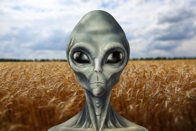 Alien in wheat field. UFO, extraterrestrial visitors