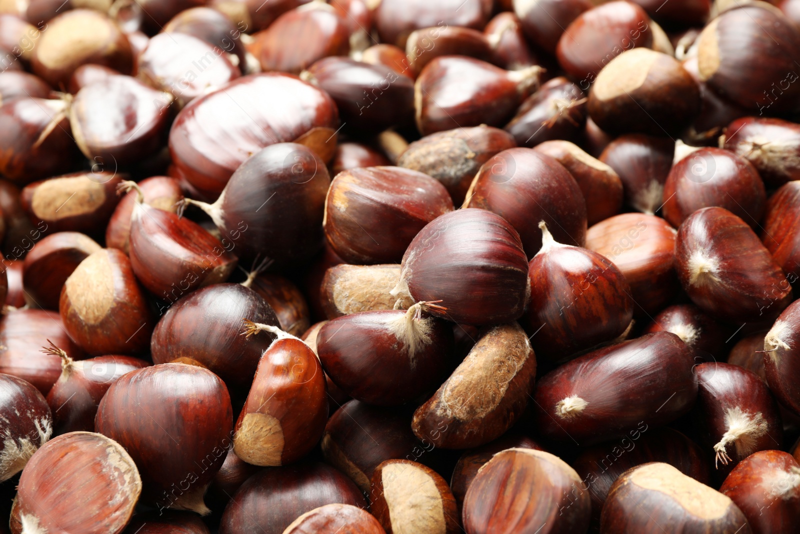 Photo of Fresh edible sweet chestnuts as background, closeup