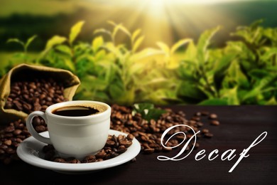 Image of Cup of aromatic decaf coffee and beans on wooden table outdoors