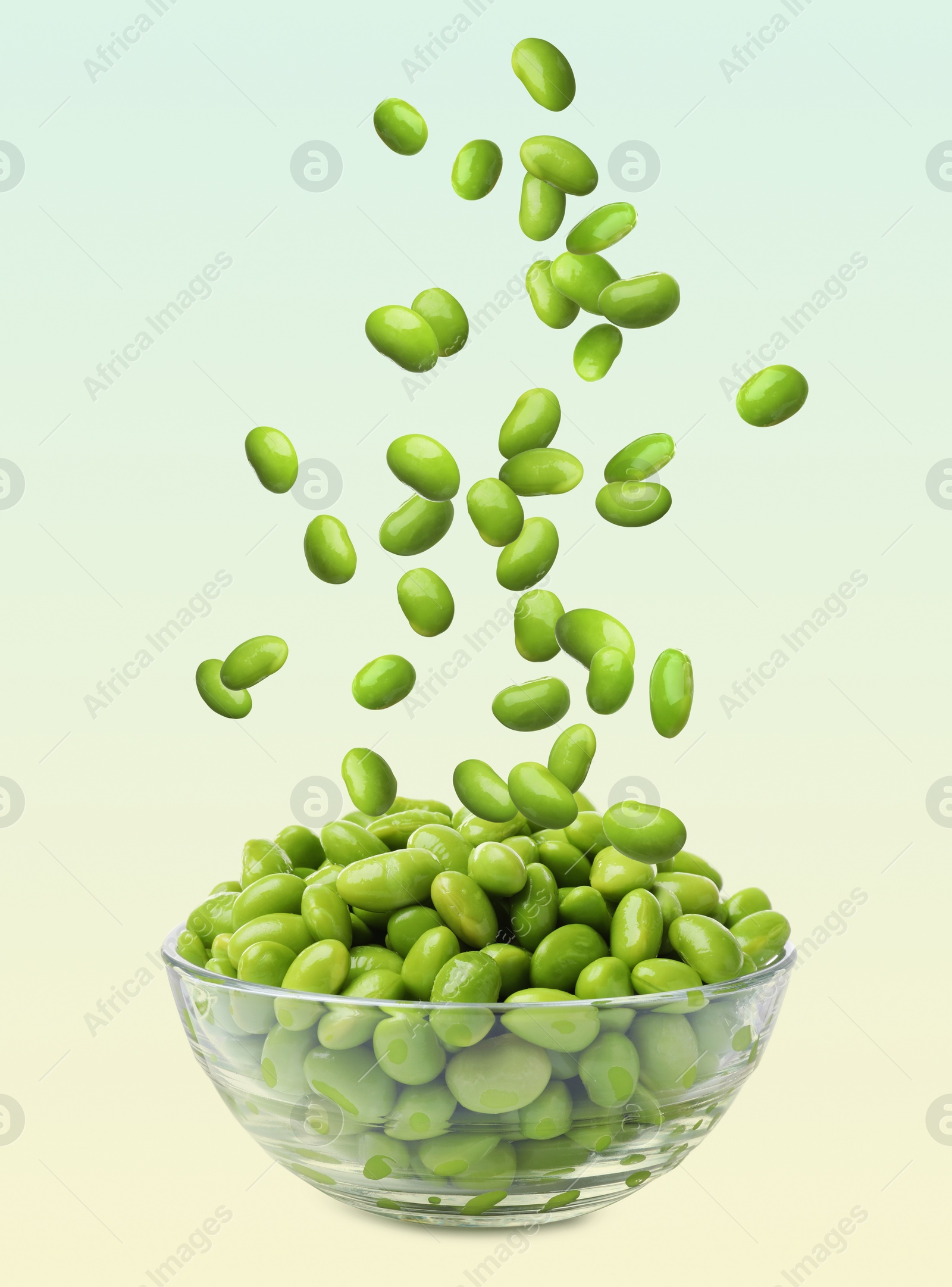 Image of Delicious edamame soybeans falling into bowl on color background