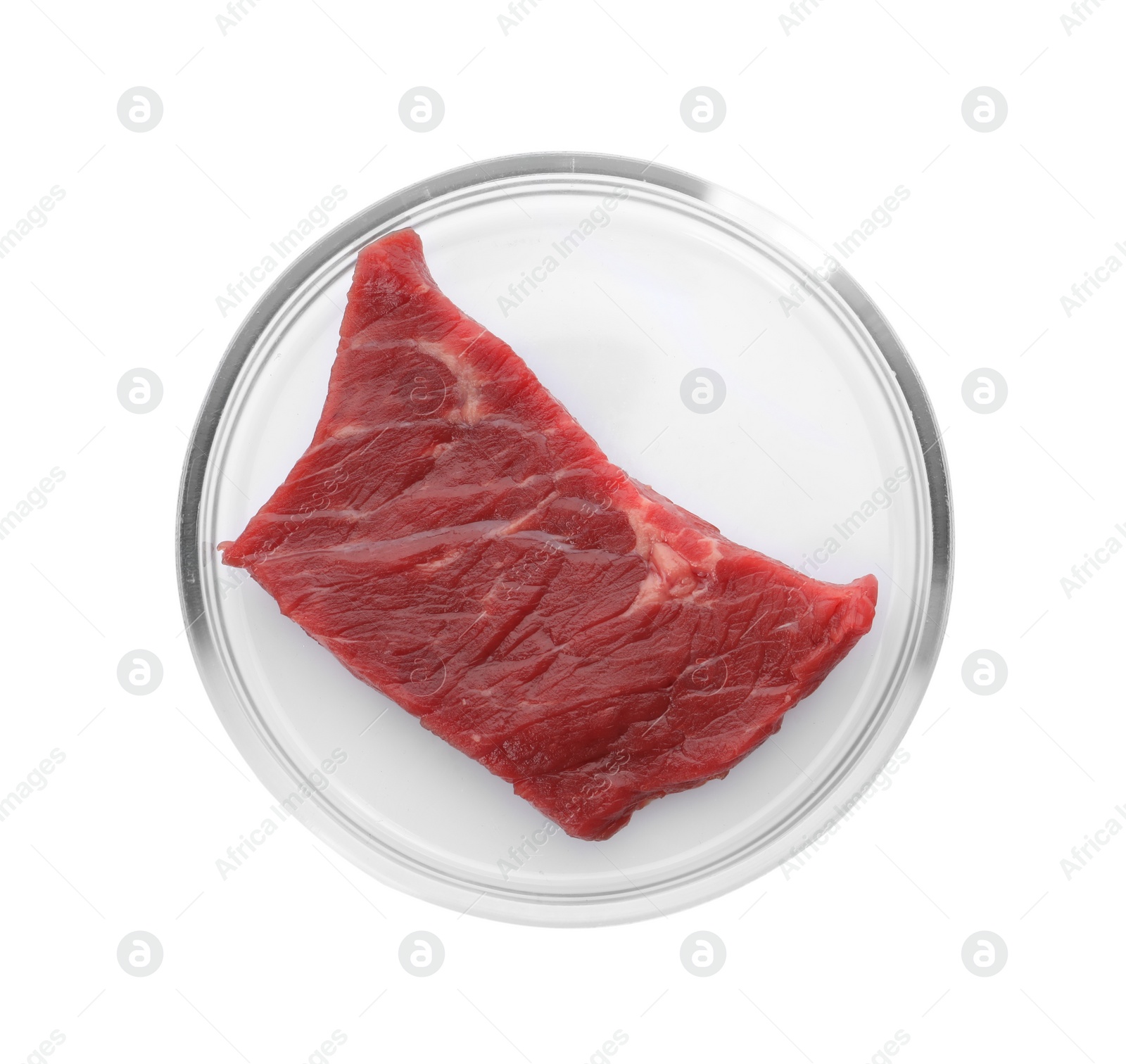 Photo of Petri dish with piece of raw cultured meat on white background, top view