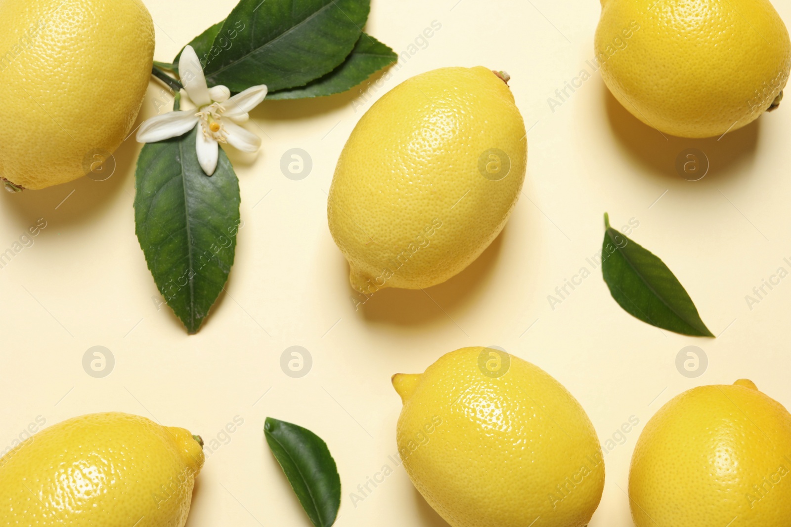 Photo of Fresh ripe lemons with green leaves and flower on beige background, flat lay