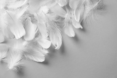 Photo of Fluffy white feathers on light background, flat lay