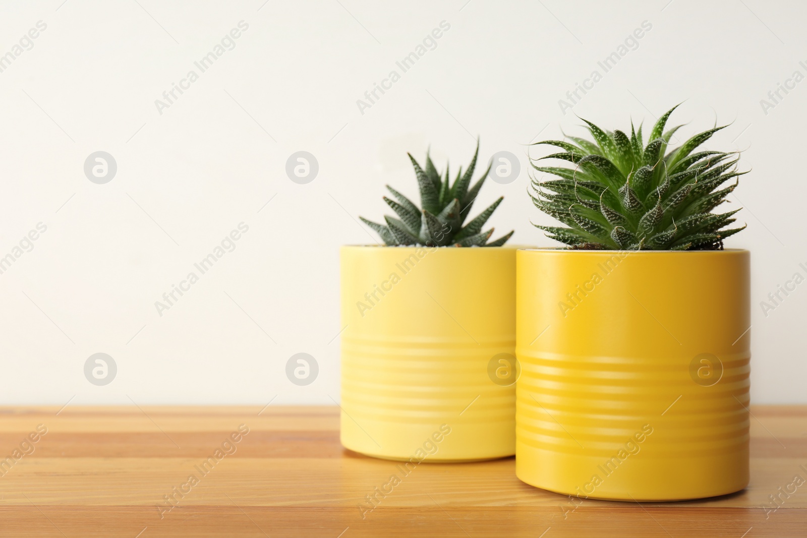 Photo of Houseplants in yellow tin cans on wooden table, closeup. Space for text