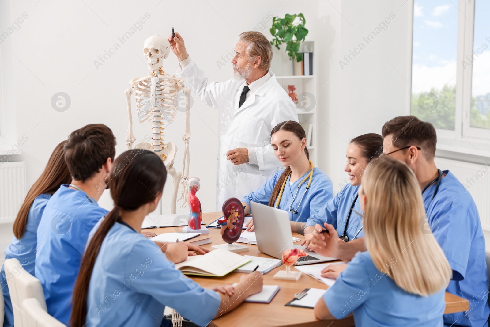 Photo of Doctor giving lecture for interns in university