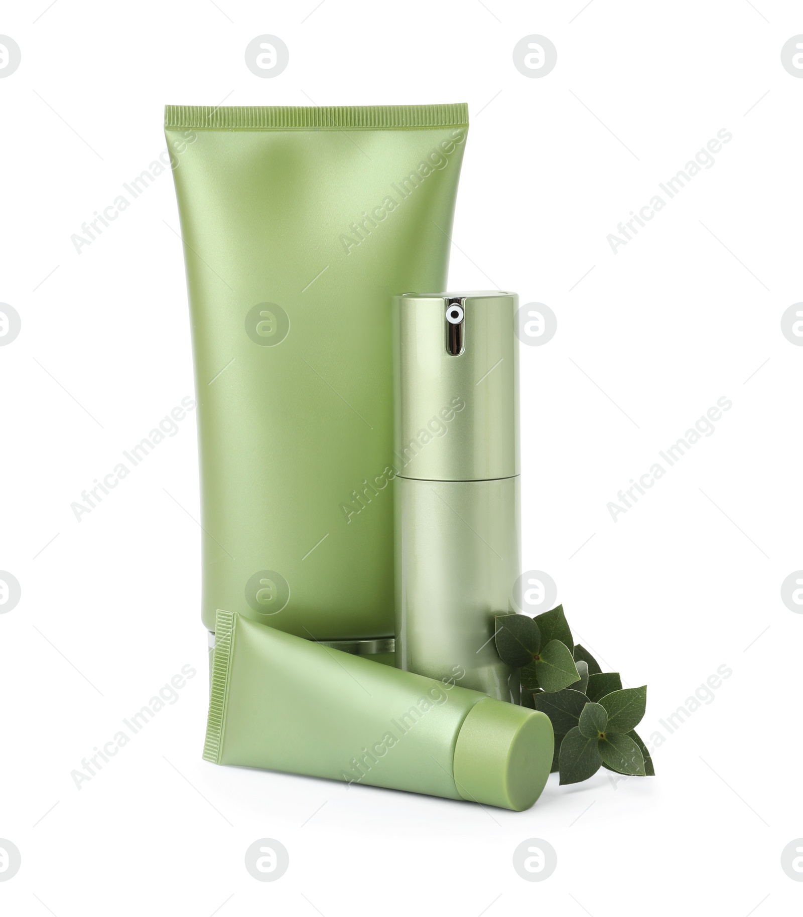 Photo of Set of cosmetic products and green plant isolated on white