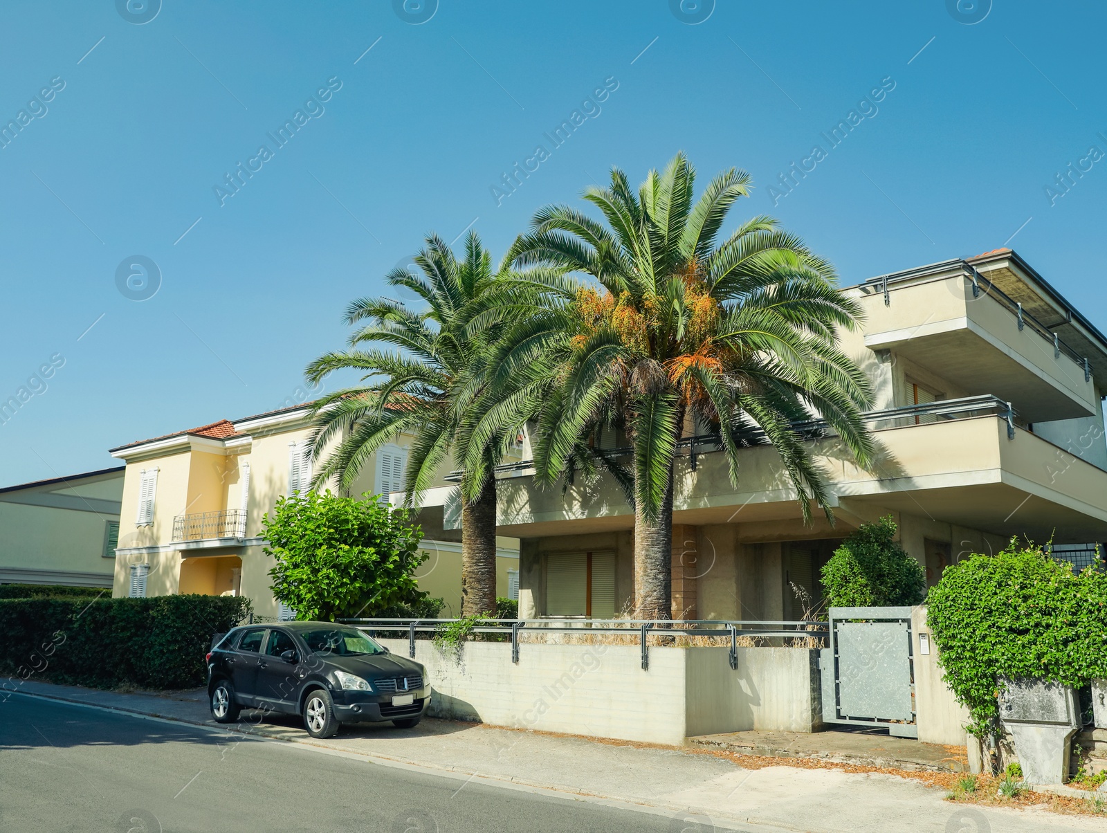 Photo of Beautiful palm trees and residential building with balconies on sunny day