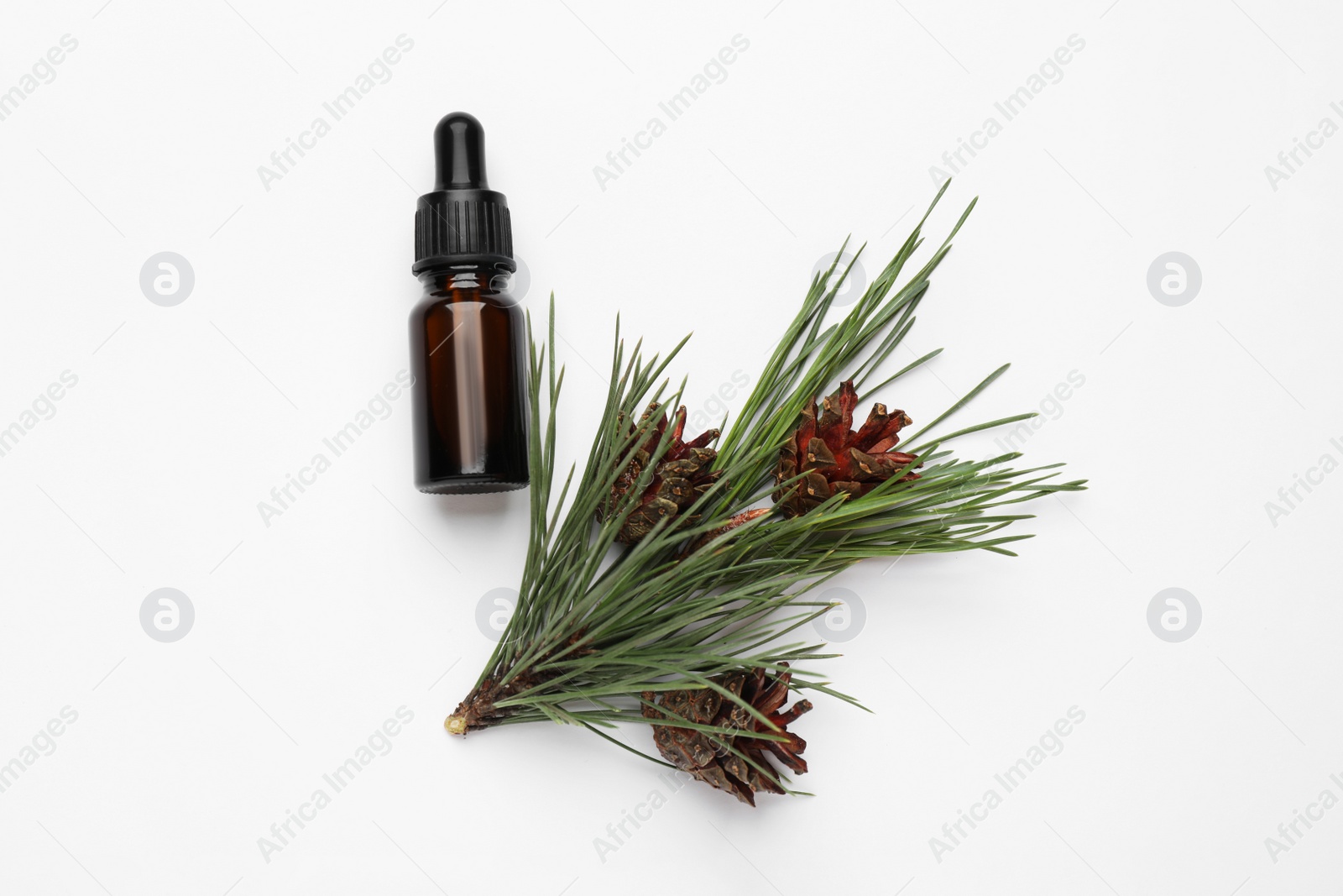 Photo of Glass bottle of essential oil and pine branch with cones on white background, top view